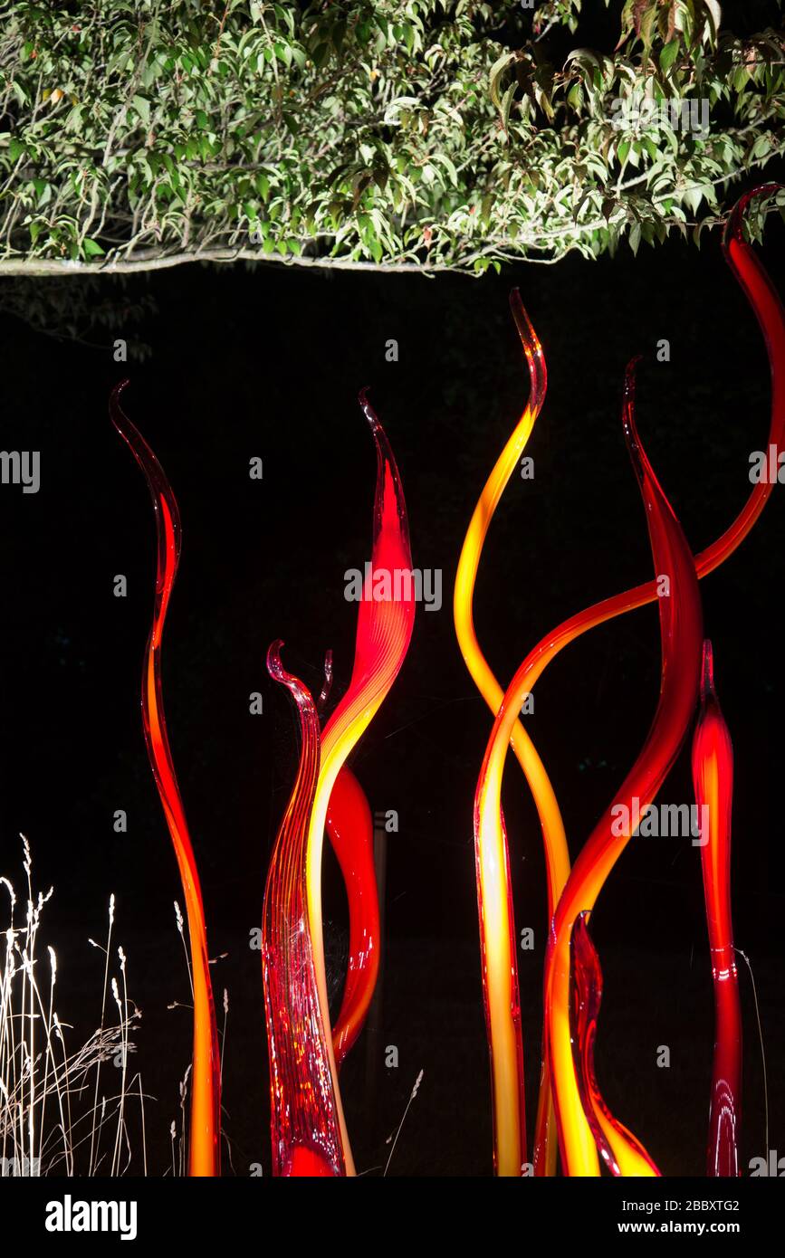 Code di catrame e betulla Reeds notti Chihuly riflessioni sulla natura colorato luminoso evento di esposizione Inverno 2019 a Kew Gardens, Richmond, Londra Foto Stock