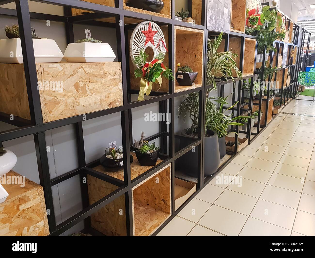 Impianti interni reali in vendita in un supermercato Foto Stock