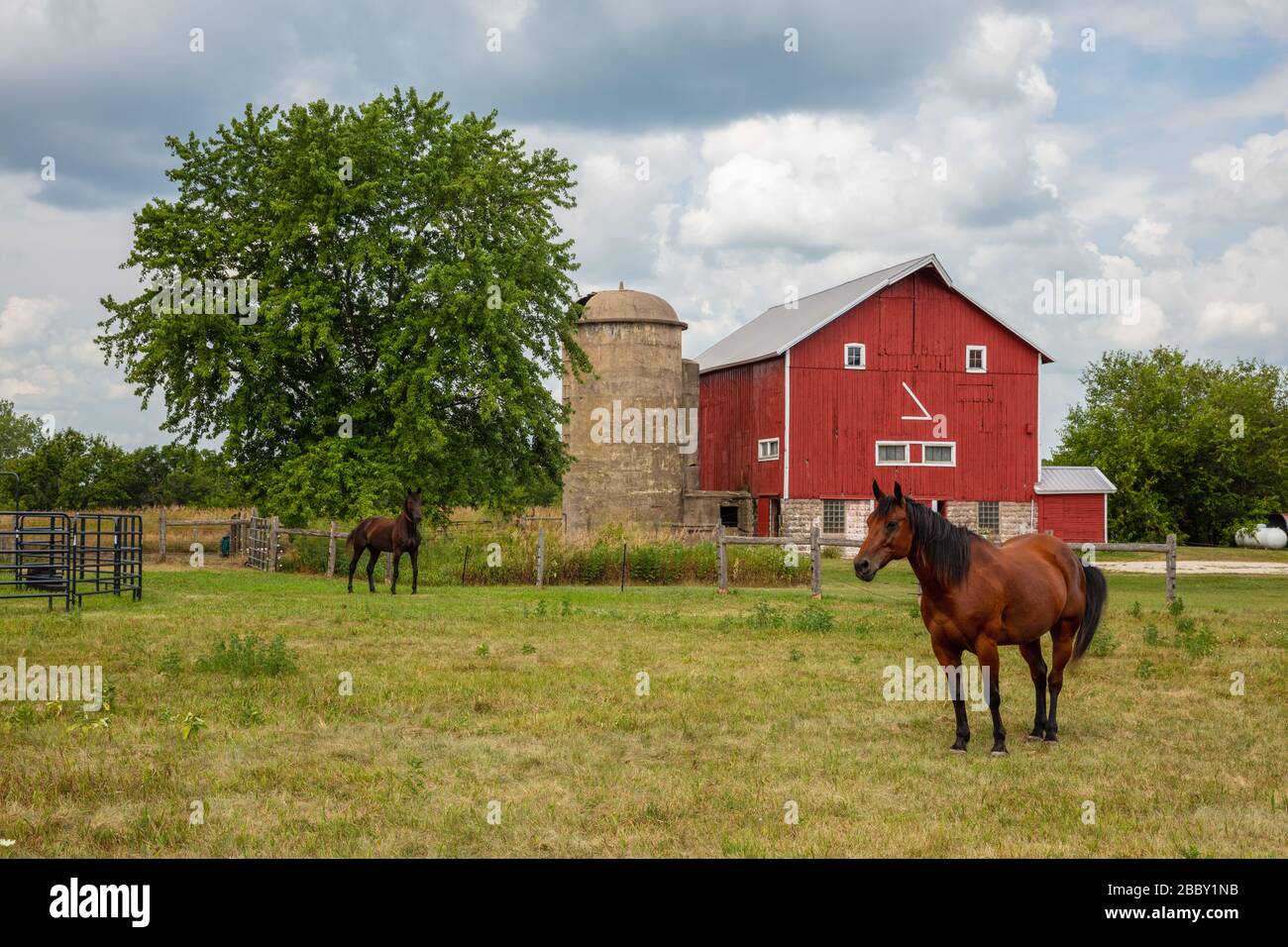 Cavalli e bra whimsical, Palmyra, Jefferson County, Wisconsin Foto Stock