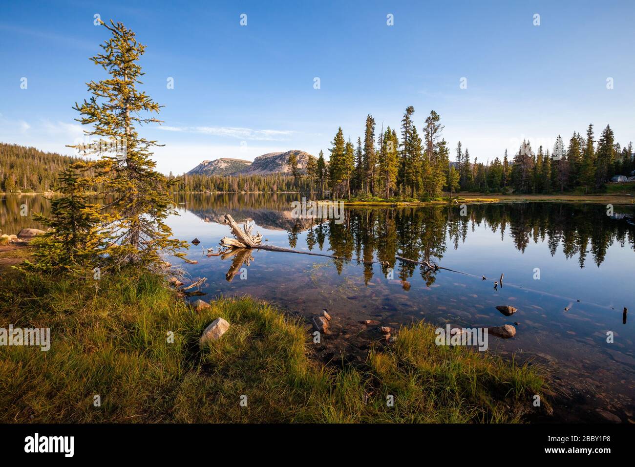 Mattina al lago Mirror, Wasatch-cache National Forest, Uinta Mountains, Utah Foto Stock