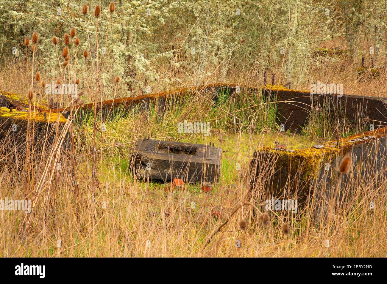 Camp Adair Ruin, E. Wilson Wildlife Area, Oregon Foto Stock