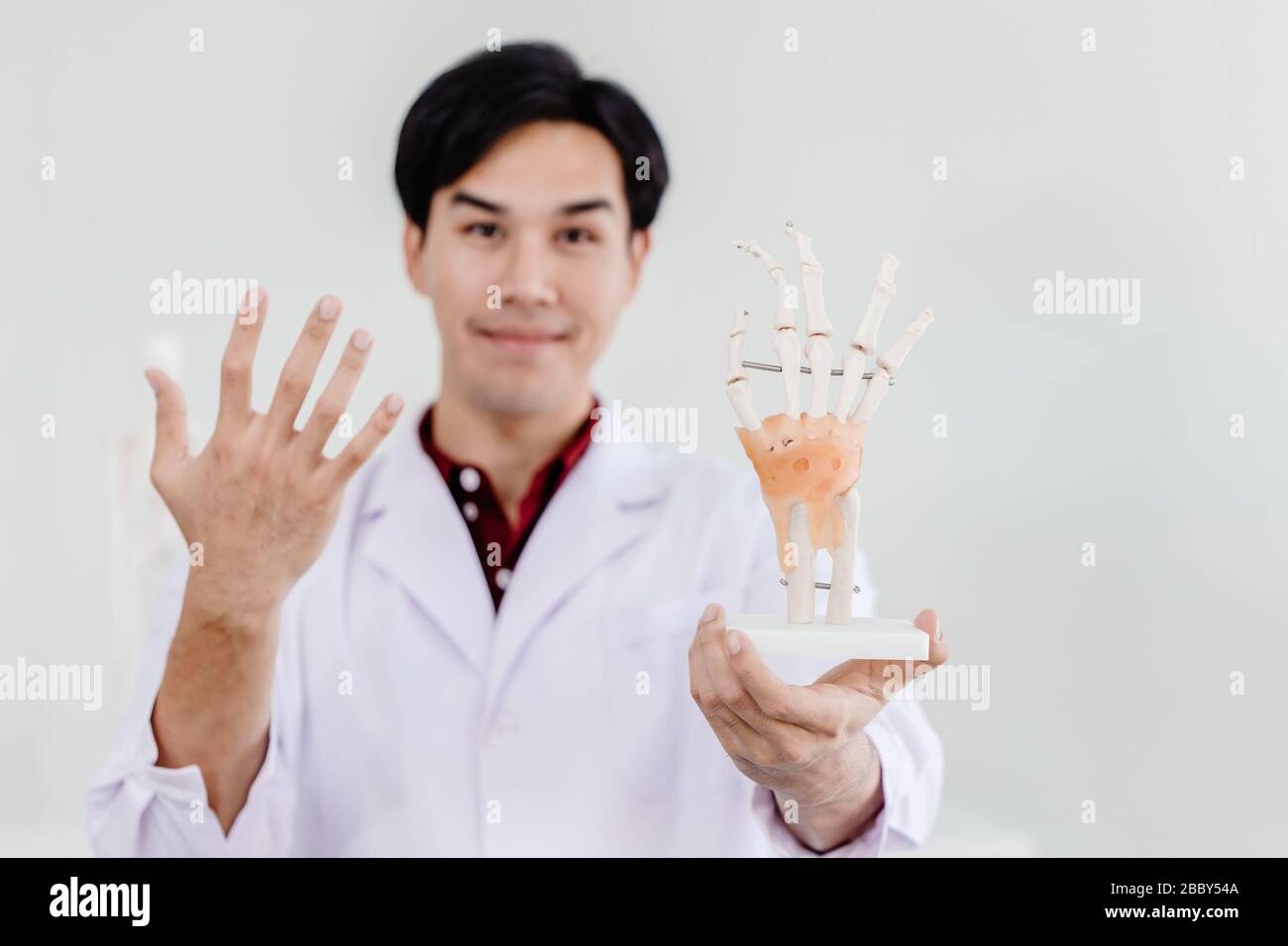 Physical Doctor con il modello di palmo della mano che mostra l'anatomia nel sistema muscolare della mano tendini legamenti. Foto Stock