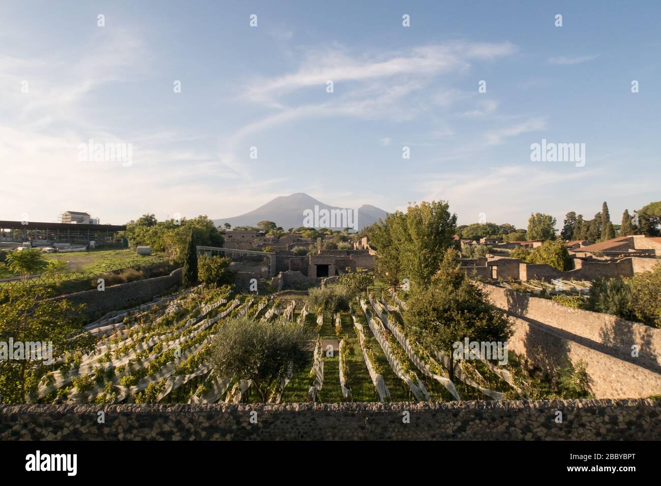 Vista sul Monte Vesuvio dal Giardino dei Fugitives di Pompei, Napoli, Italia. Foto Stock