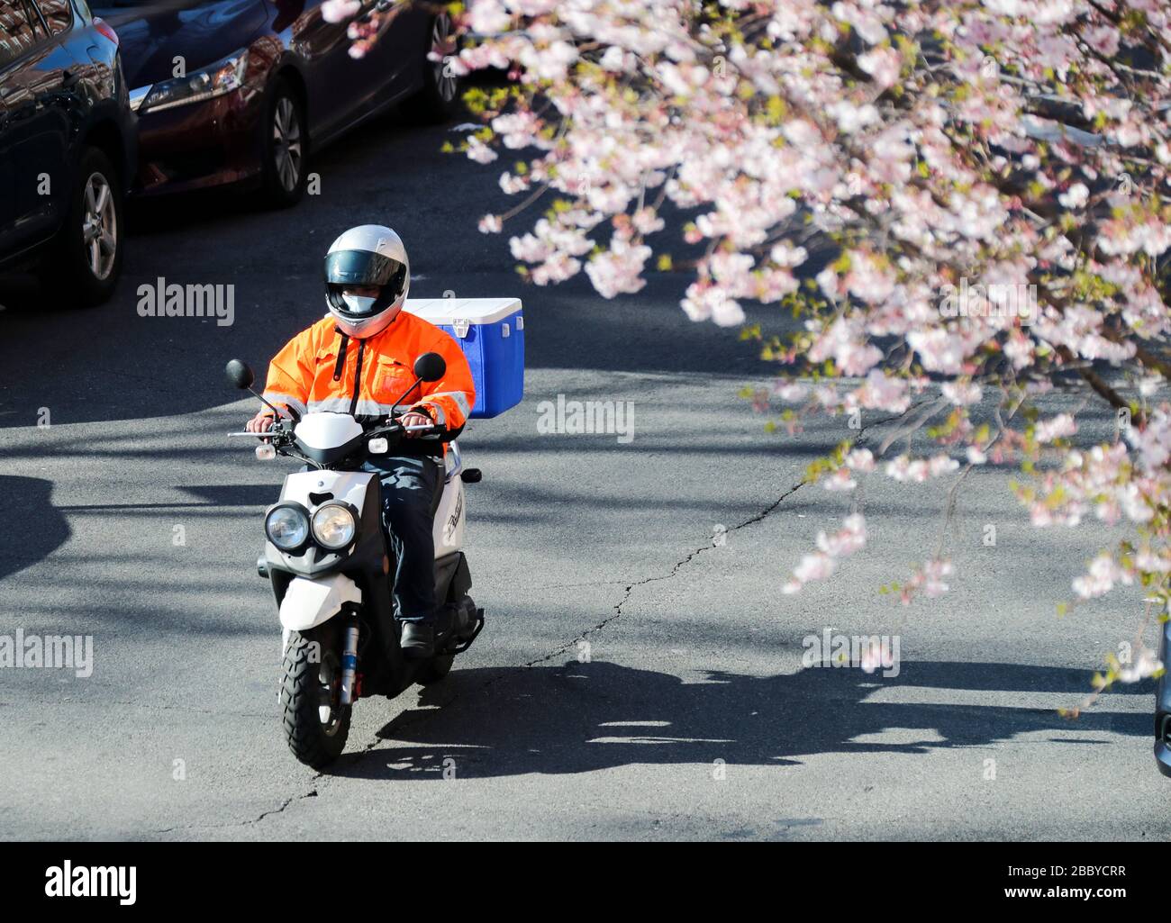 New York, Stati Uniti. 1st Apr, 2020. Un addetto alla consegna passa davanti a un'area di residenza nel Queens di New York, Stati Uniti, 1° aprile 2020. Gli Stati Uniti il mercoledì sono diventati la prima nazione con più di 200.000 infezioni da COVID-19, secondo un nuovo tally della Johns Hopkins University. Credito: Wang Ying/Xinhua/Alamy Live News Foto Stock