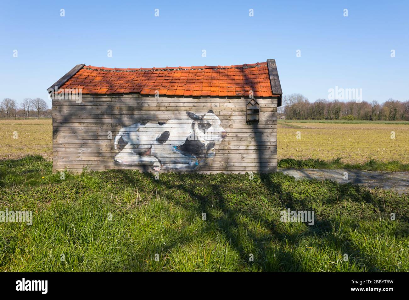 Vecchio capannone in un prato con un dipinto di una mucca Foto Stock