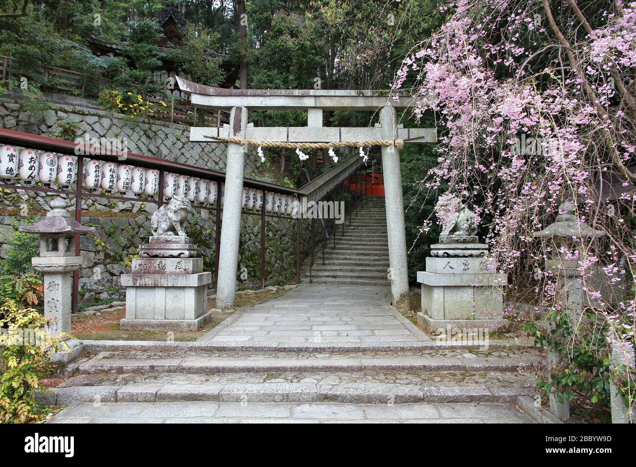 KYOTO, Giappone - 16 Aprile 2012: Hachi Santuario con fiori di ciliegio a Kyoto, in Giappone. Il santuario si trova a Ginkakuji motivi in Sakyo-ku distretto di K Foto Stock