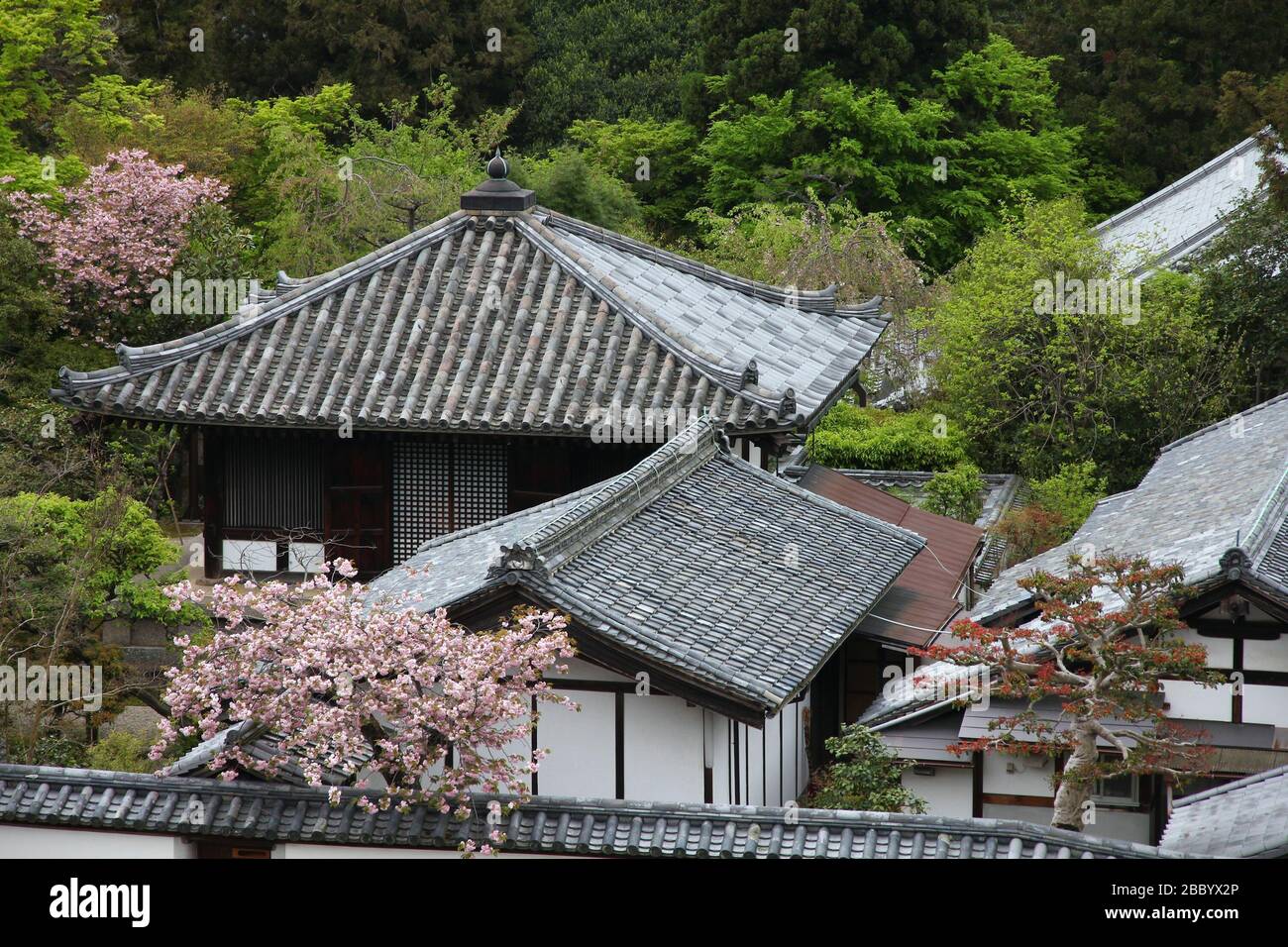 Giardini del Tempio di Todaiji a Nara, Giappone. Punto di riferimento giapponese. Foto Stock