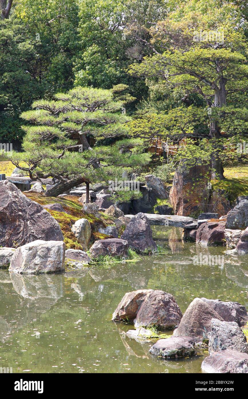 Giardino giapponese di Kyoto, Giappone. Ninomaru Giardino del Castello di Nijo. Foto Stock