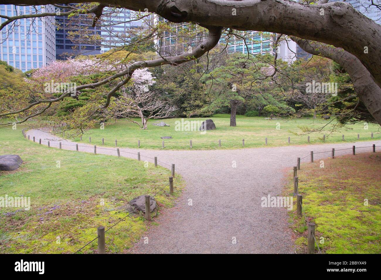 Tokyo, Giappone - Giardini Hamarikyu, parco nel quartiere Chuo. Foto Stock