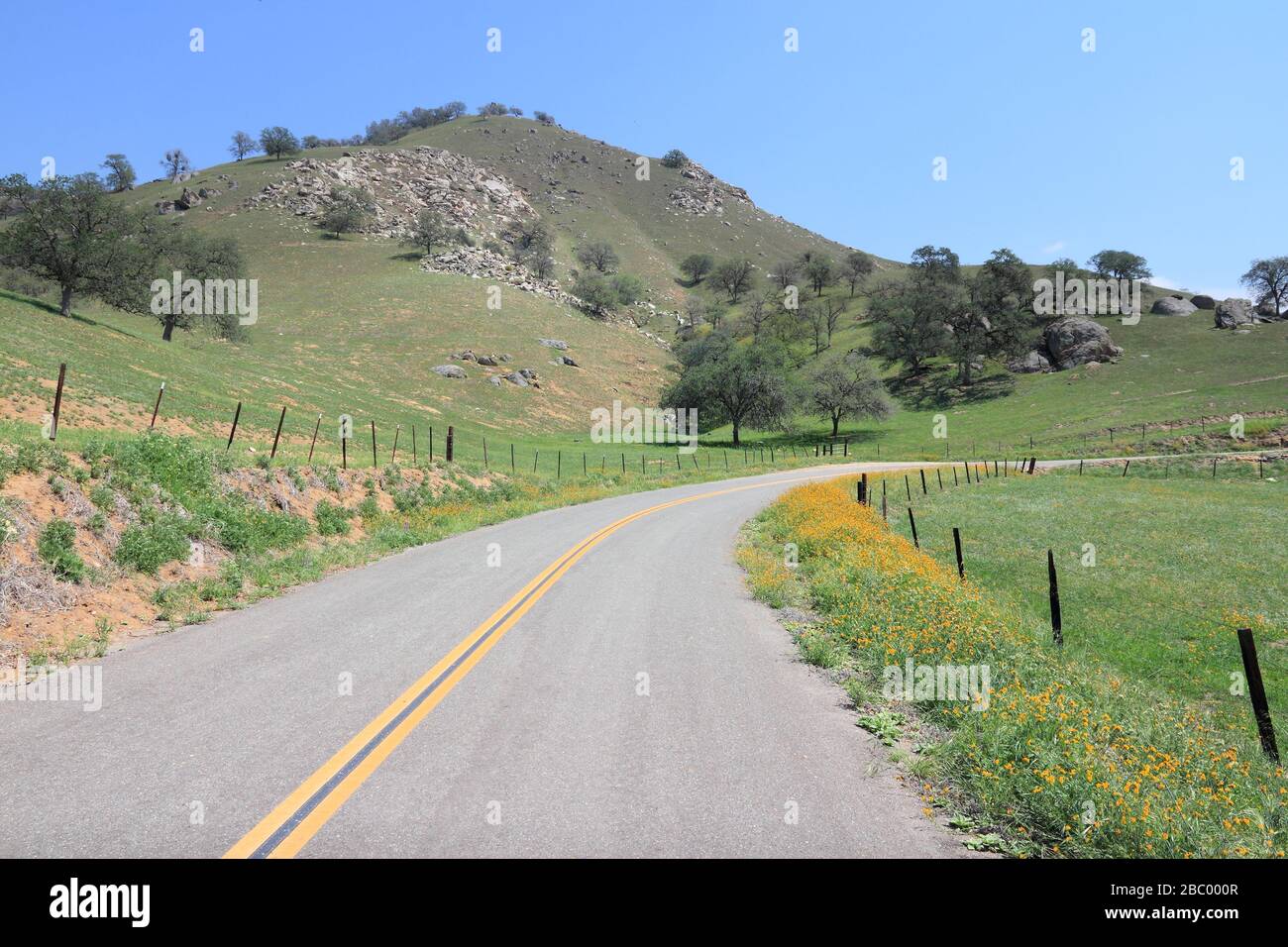 California strada rurale nel paesaggio di campagna del Tulare County. Foto Stock