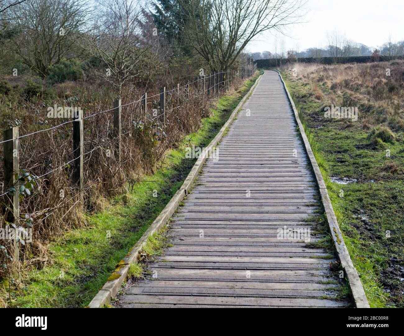 Un sentiero vuoto per il duckboard che attraversa un'area di terreno roccioso nell'Otley Chevin Forest Park nello Yorkshire occidentale Foto Stock