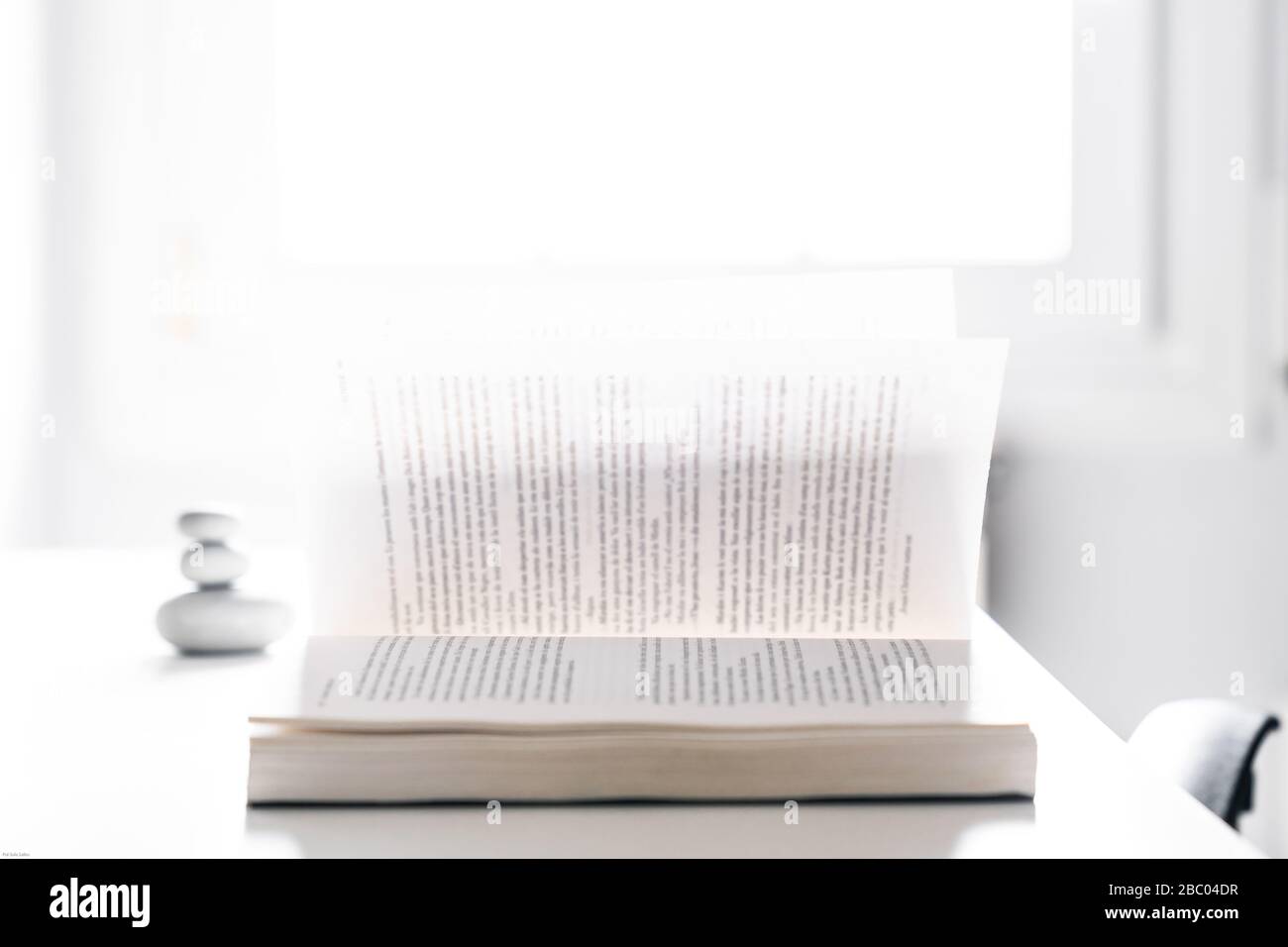 Apri il libro con pagine libere su un desktop con una luce della finestra sullo sfondo Foto Stock
