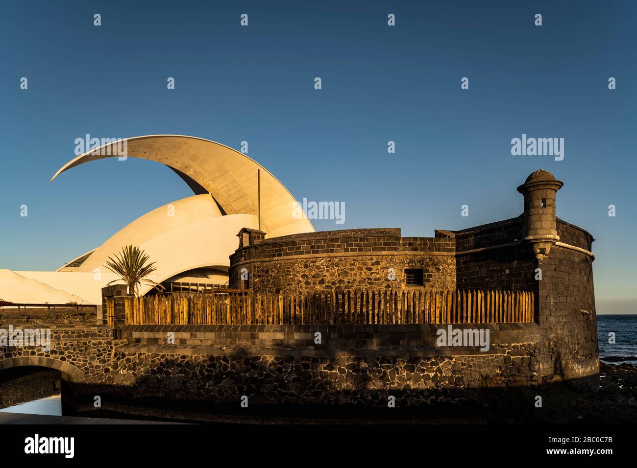 Spagna, Isole Canarie, Tenerife, Santa Cruz - Auditorium Adán Martín. Progettato dall'architetto Santiago Calatrava, si trova sulla Avenue della con Foto Stock