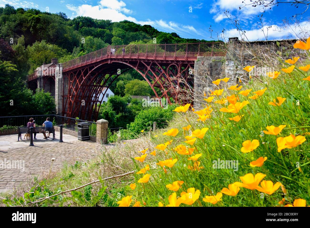 Il ponte di ferro a Ironbridge, Shropshire, Regno Unito. Costruito nel 1781, è il più antico ponte in ghisa del mondo e oggi è patrimonio dell'umanità dell'UNESCO. Foto Stock