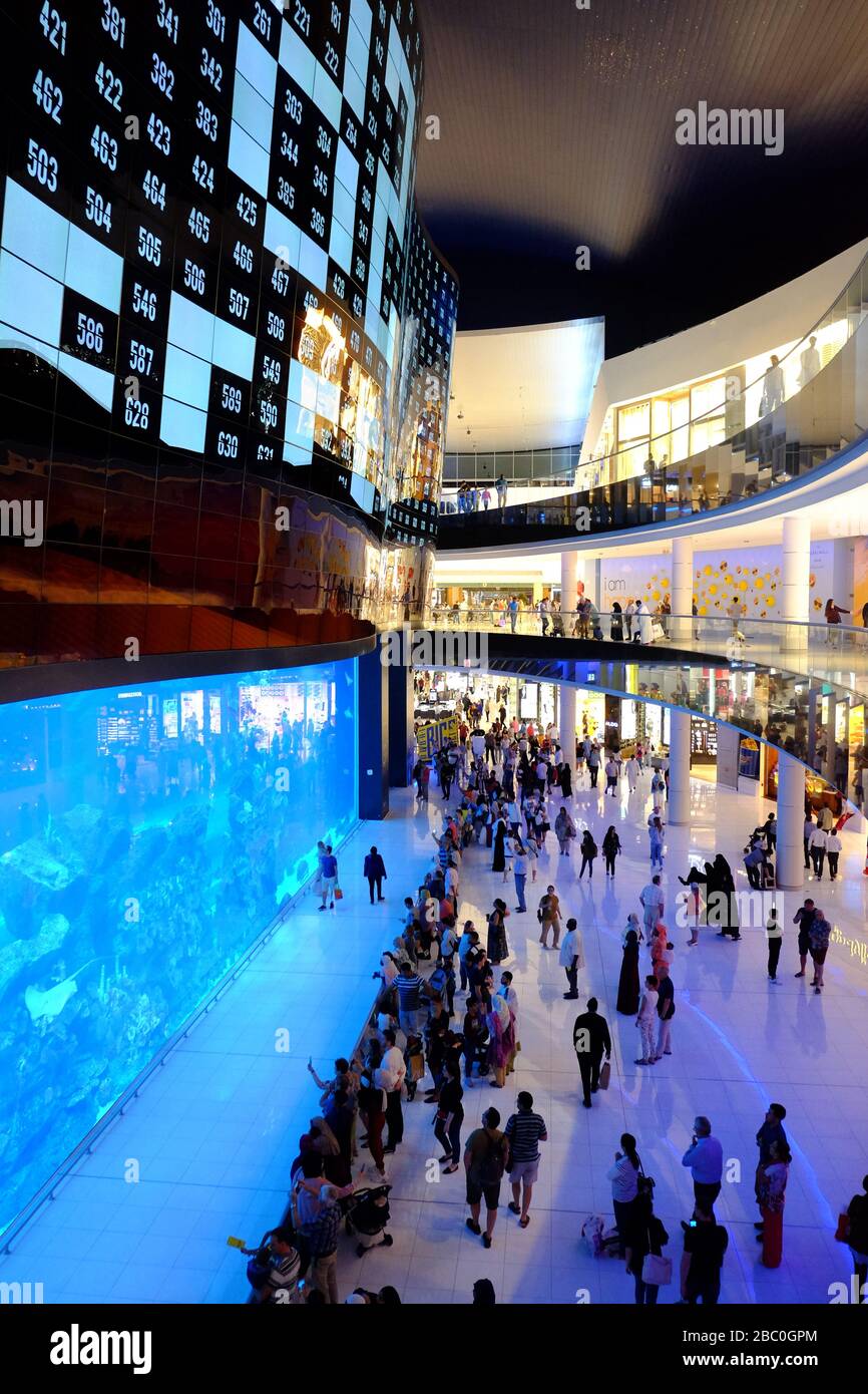 Folla che guarda l'Acquario all'interno del gigantesco Dubai Mall nel centro di Dubai, negli Emirati Arabi Uniti. Foto Stock