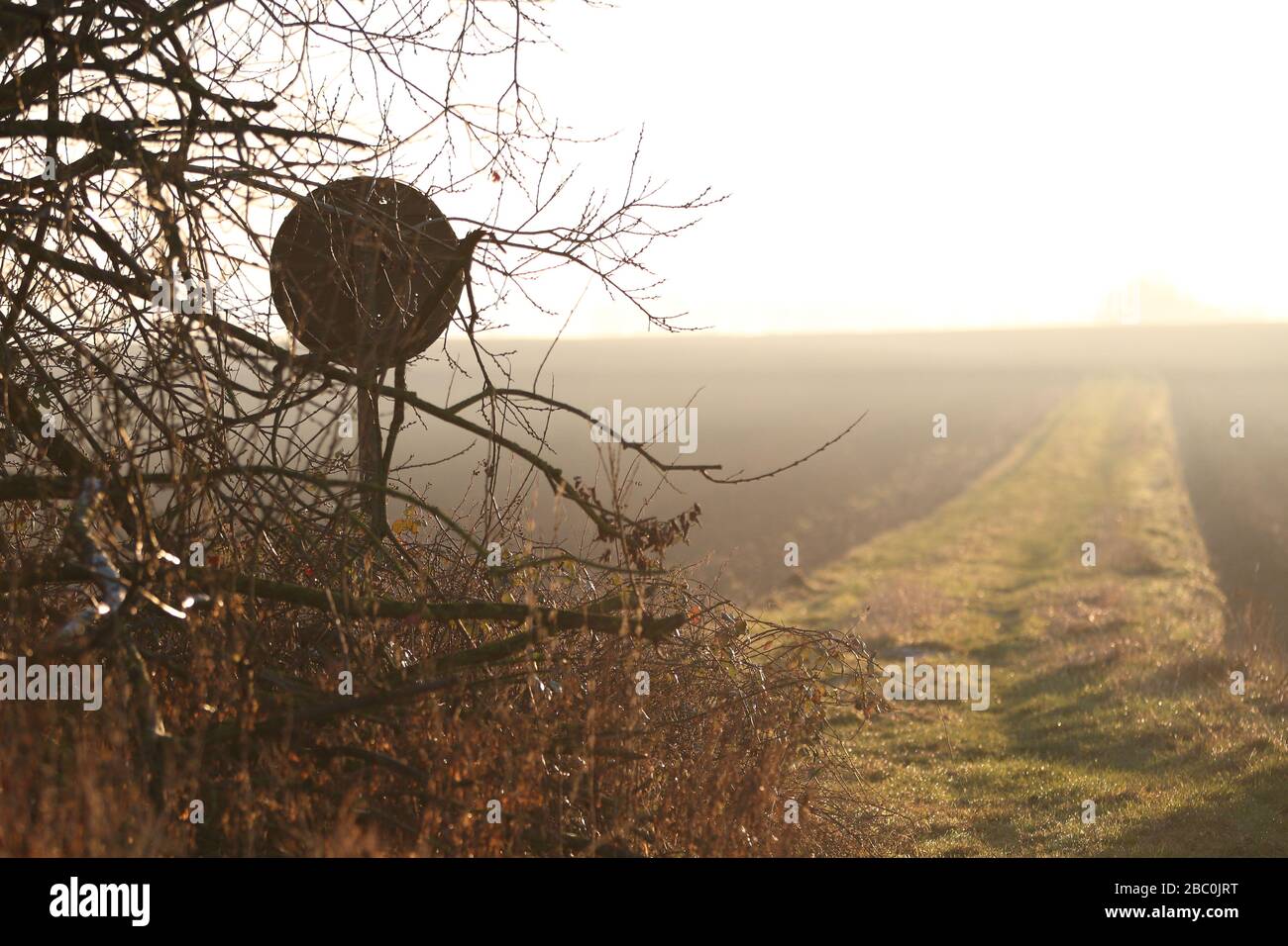 Paesaggio invernale a Wallonie, Belgio. Foto Stock