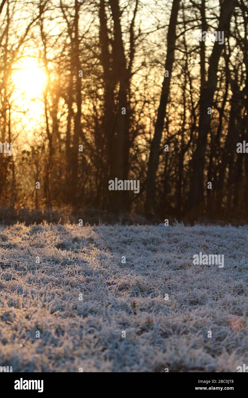 Paesaggio invernale a Wallonie, Belgio. Foto Stock