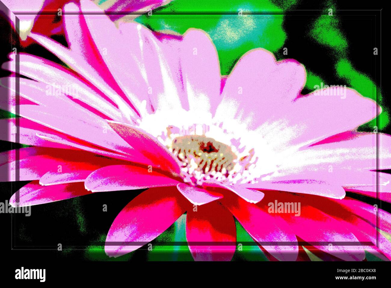 Fotografia di un fiore modificato con l'illustrazione a colori della cornice 3D. Macro-fotografia di un fiore come immagine sorgente. Foto Stock