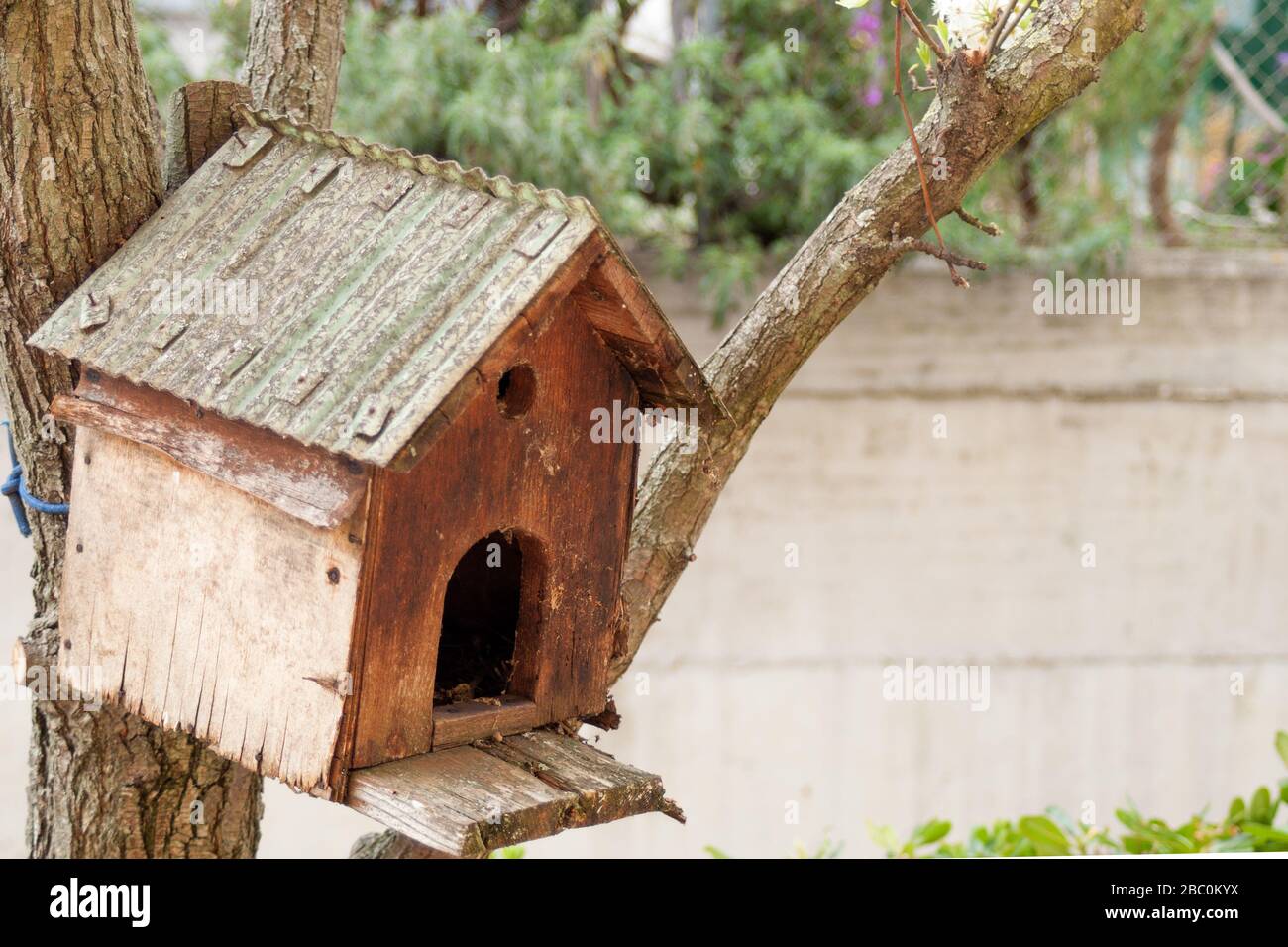 Lovely Da Appendere Rustico in legno Bird Scatola Bird House scatola di nidificazione casella giardino Bird 