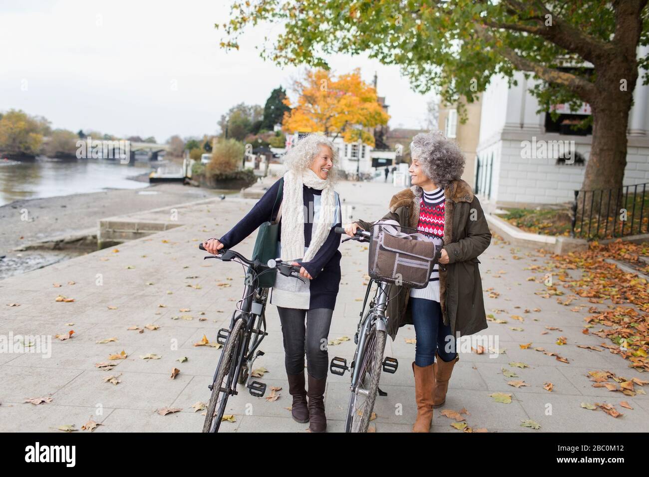 Sorridente donne anziane attive a piedi biciclette in autunno parco Foto Stock