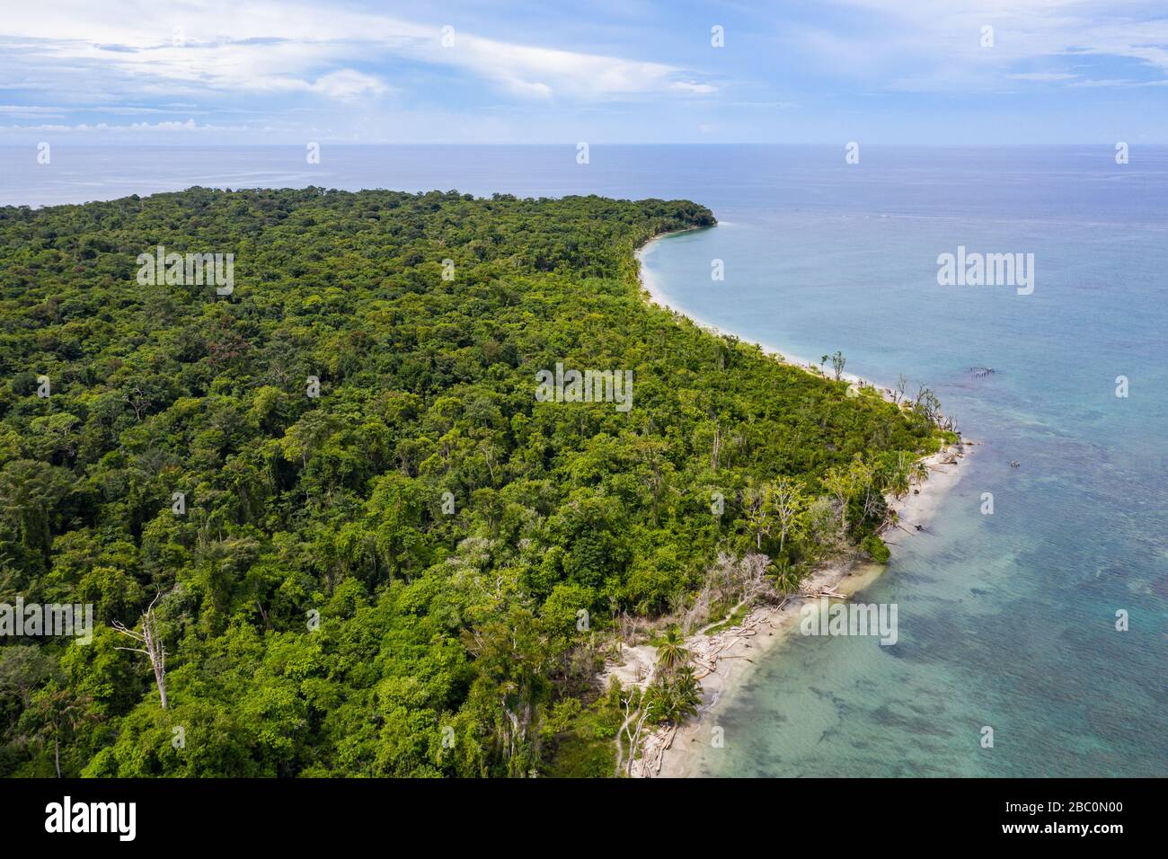 Vista aerea del Parco Nazionale di Cahuita lungo la costa meridionale dei Caraibi del Costa Rica. Foto Stock