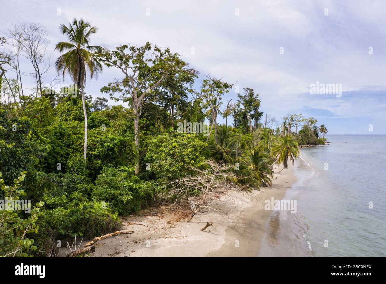 Vista aerea del Parco Nazionale di Cahuita lungo la costa meridionale dei Caraibi del Costa Rica. Foto Stock