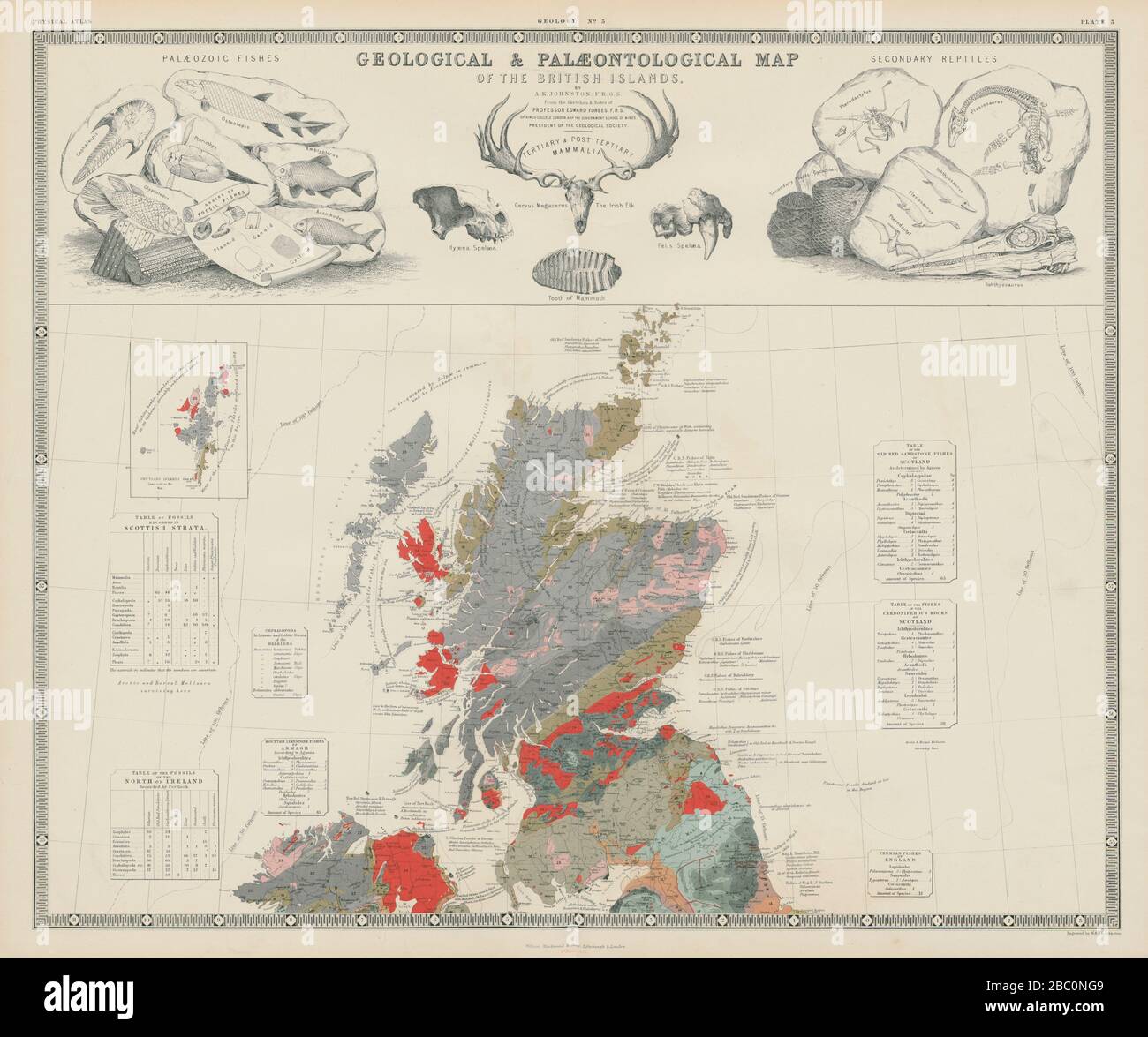 Mappa geologica e paleontologica delle Isole britanniche: Nord. Scozia 1856 Foto Stock