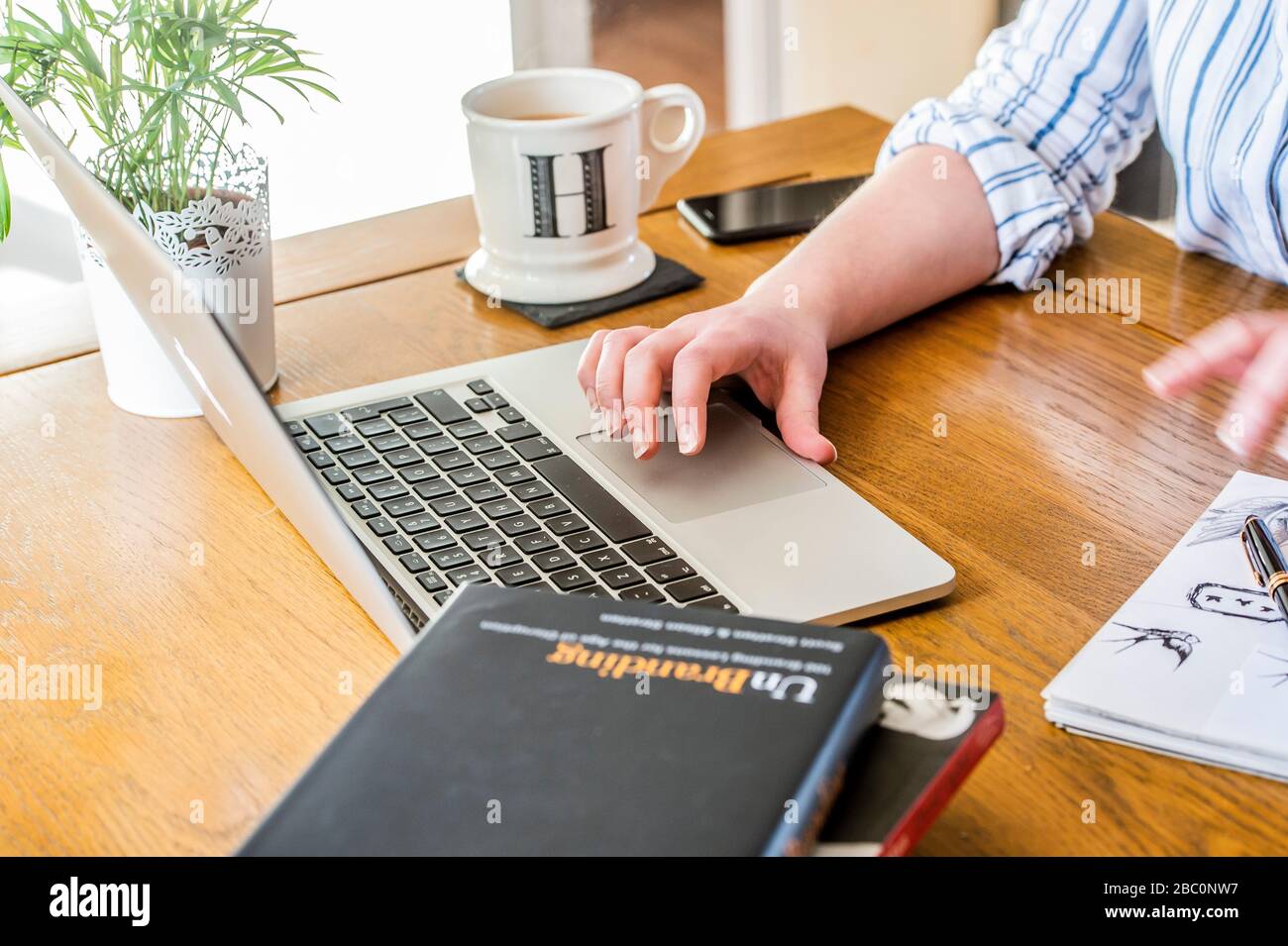 Lavorando da casa Pics Alan Peebles Foto Stock