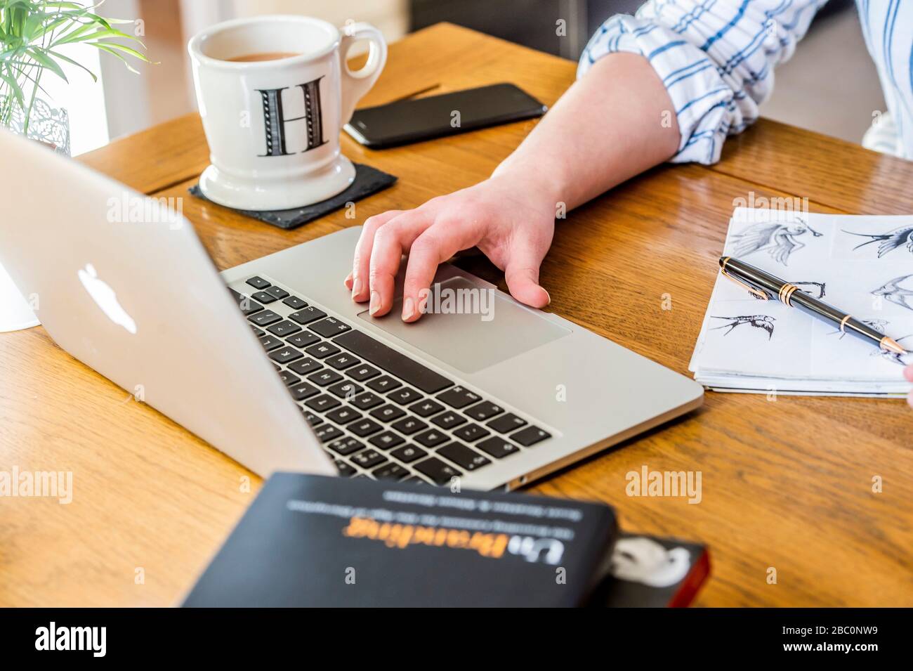 Lavorando da casa Pics Alan Peebles Foto Stock
