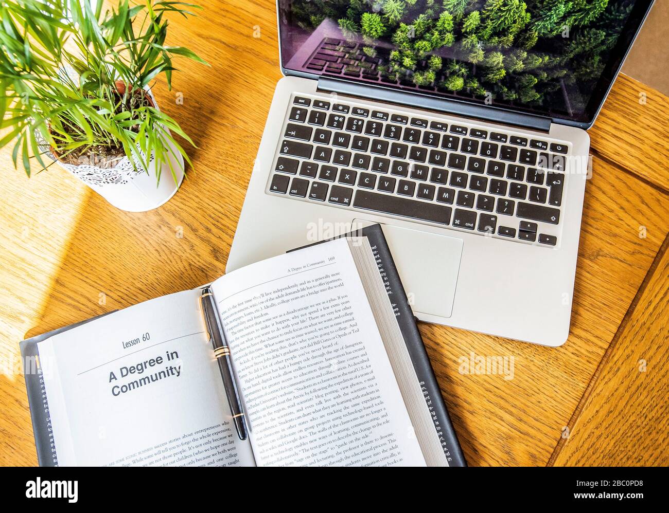 Apprendimento a casa.. Foto Alan Peebles Foto Stock