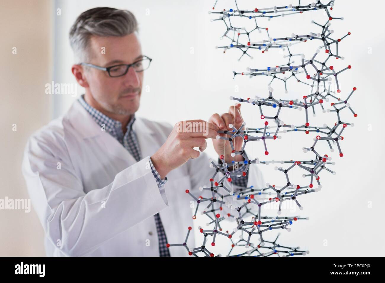 Insegnante di scienza che assembla il modello di molecola in classe di laboratorio Foto Stock