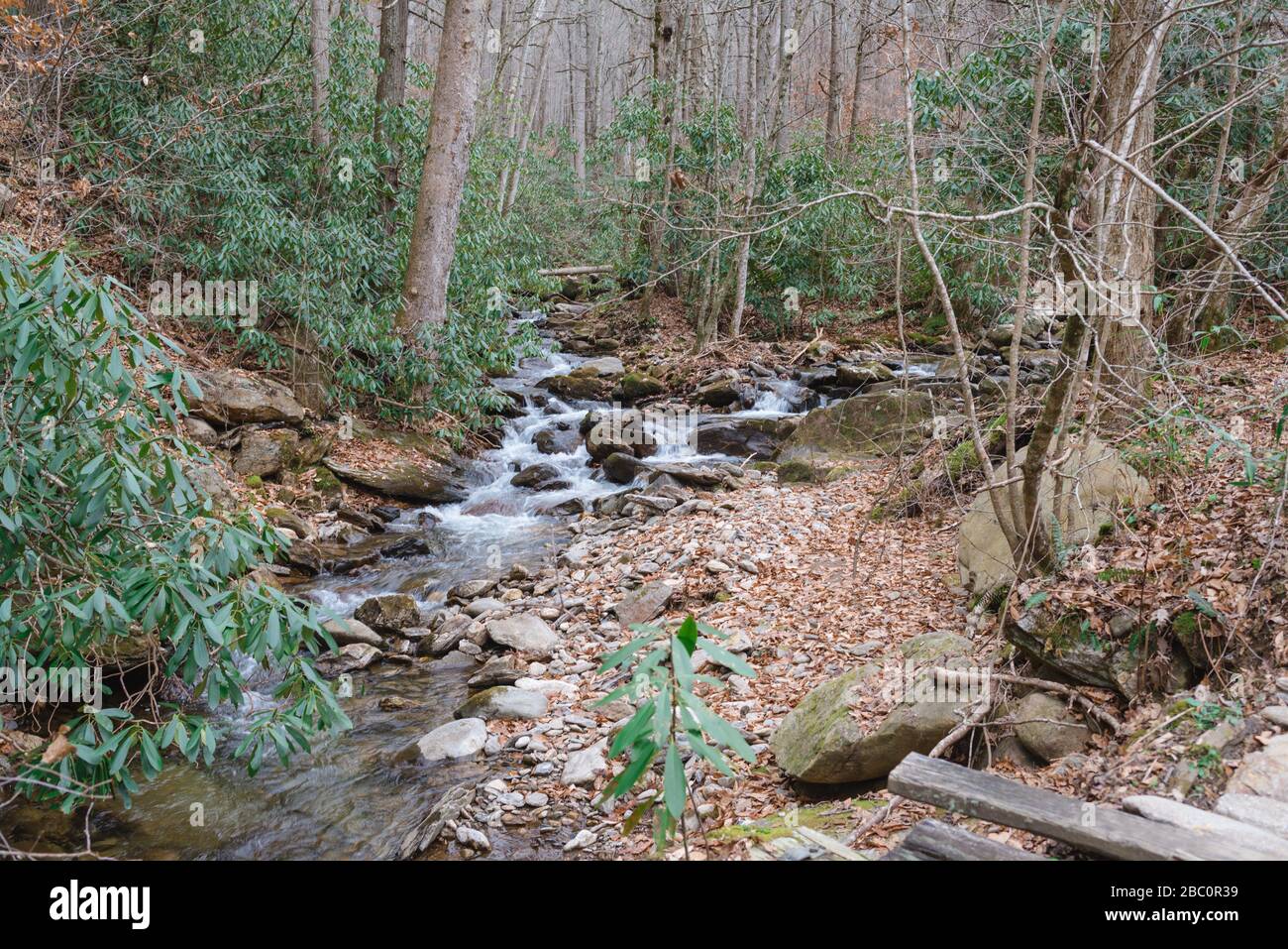 Mountain Light Sanctuary vicino a Barnardsville, North Carolina è un rifugio privato incentrato sull'esplorazione spirituale e il ringiovanimento. Foto Stock