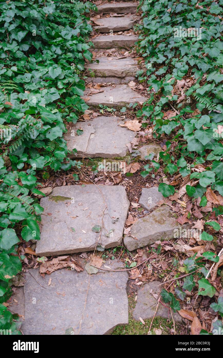 Mountain Light Sanctuary vicino a Barnardsville, North Carolina è un rifugio privato incentrato sull'esplorazione spirituale e il ringiovanimento. Foto Stock