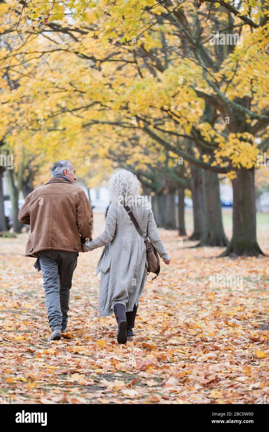 Affettuosa coppia senior in mano, camminando tra gli alberi e le foglie nel parco autunnale Foto Stock