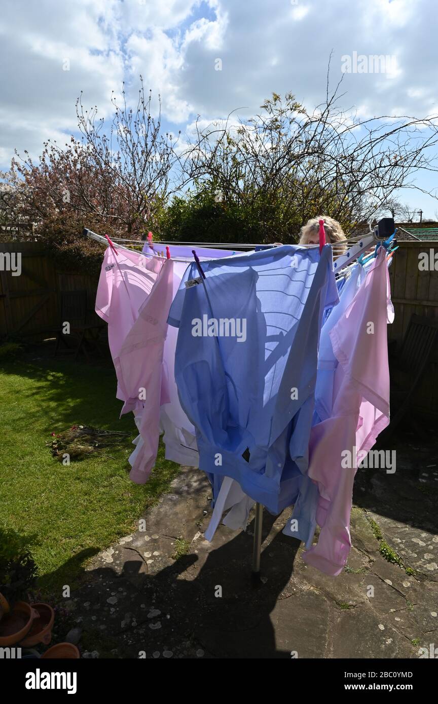 Donna che appende fuori le camicie di vari uomini colorati su una linea di lavaggio rotante durante il vento nel giardino posteriore Regno Unito Foto Stock