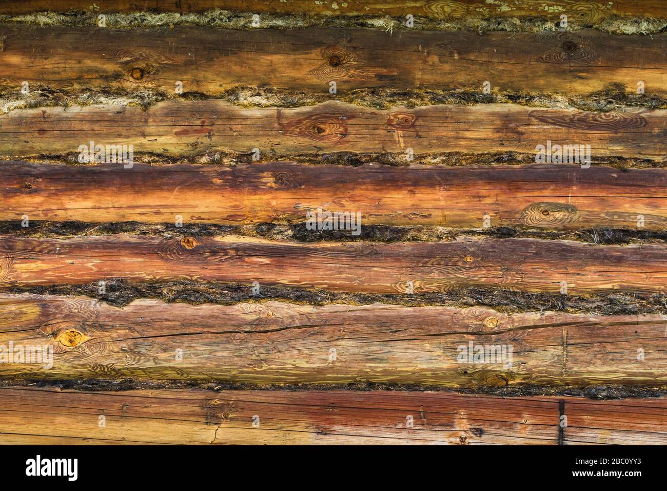 Sfondo da vecchi tronchi di una casa di legno. Foto Stock