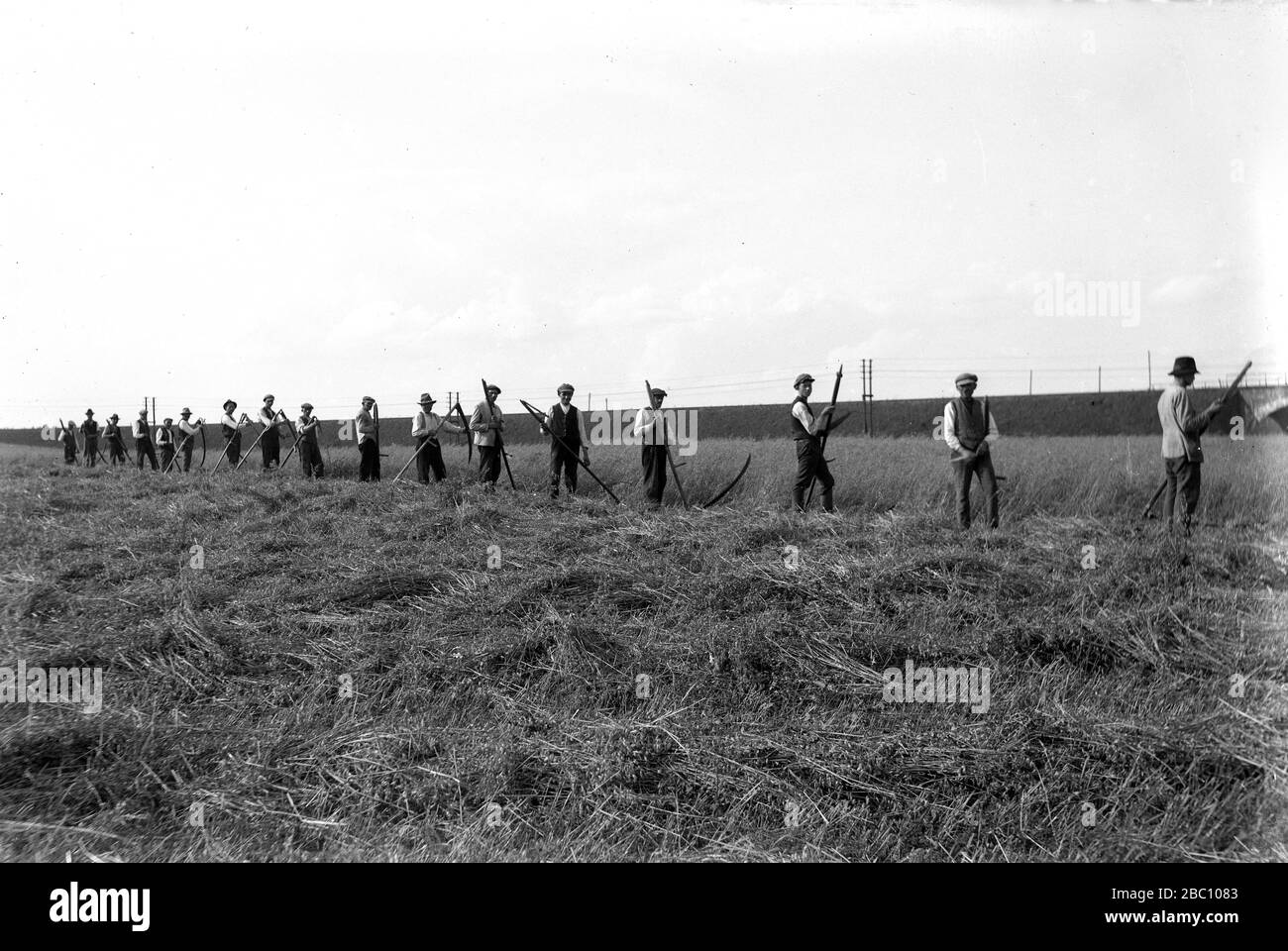 Lavoratori agricoli che lavorano in Baviera, Germania 1921 Foto Stock