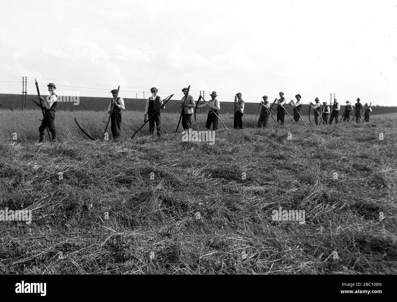 Lavoratori agricoli che lavorano in Baviera, Germania 1921 Foto Stock