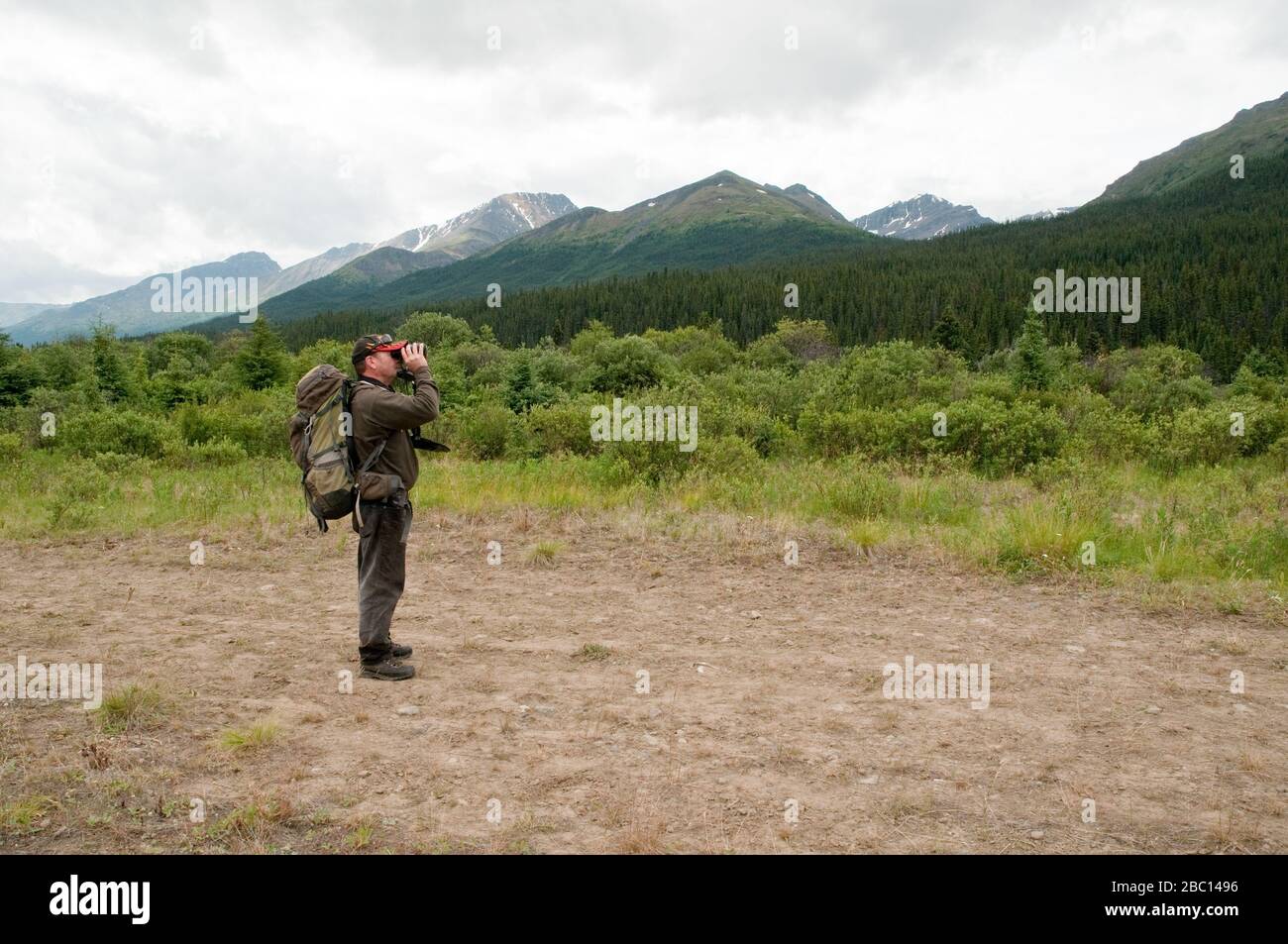 Un solo maschio escursionista che guarda attraverso binocoli nelle Stikine Mountains, lo Spatsizi Plateau Wilderness Provincial Park, in British Columbia, Canada. Foto Stock