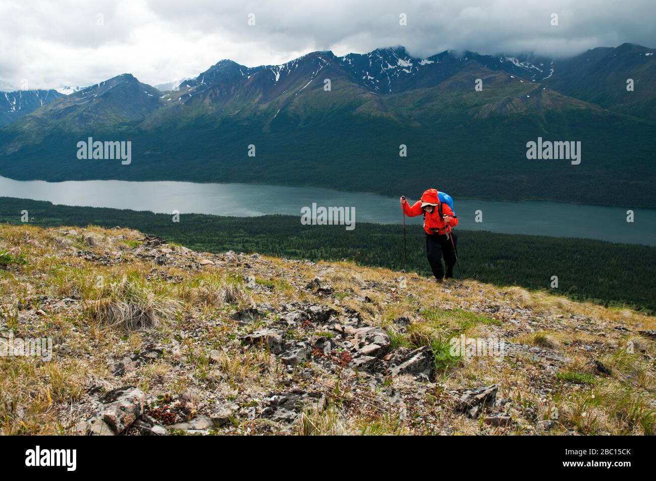 Un escursionista che si arrampica su una montagna utilizzando le aste sopra il lago Cold Fish in Plateau di Spatsizi Wilderness Provincial Park in British Columbia, Canada. Foto Stock
