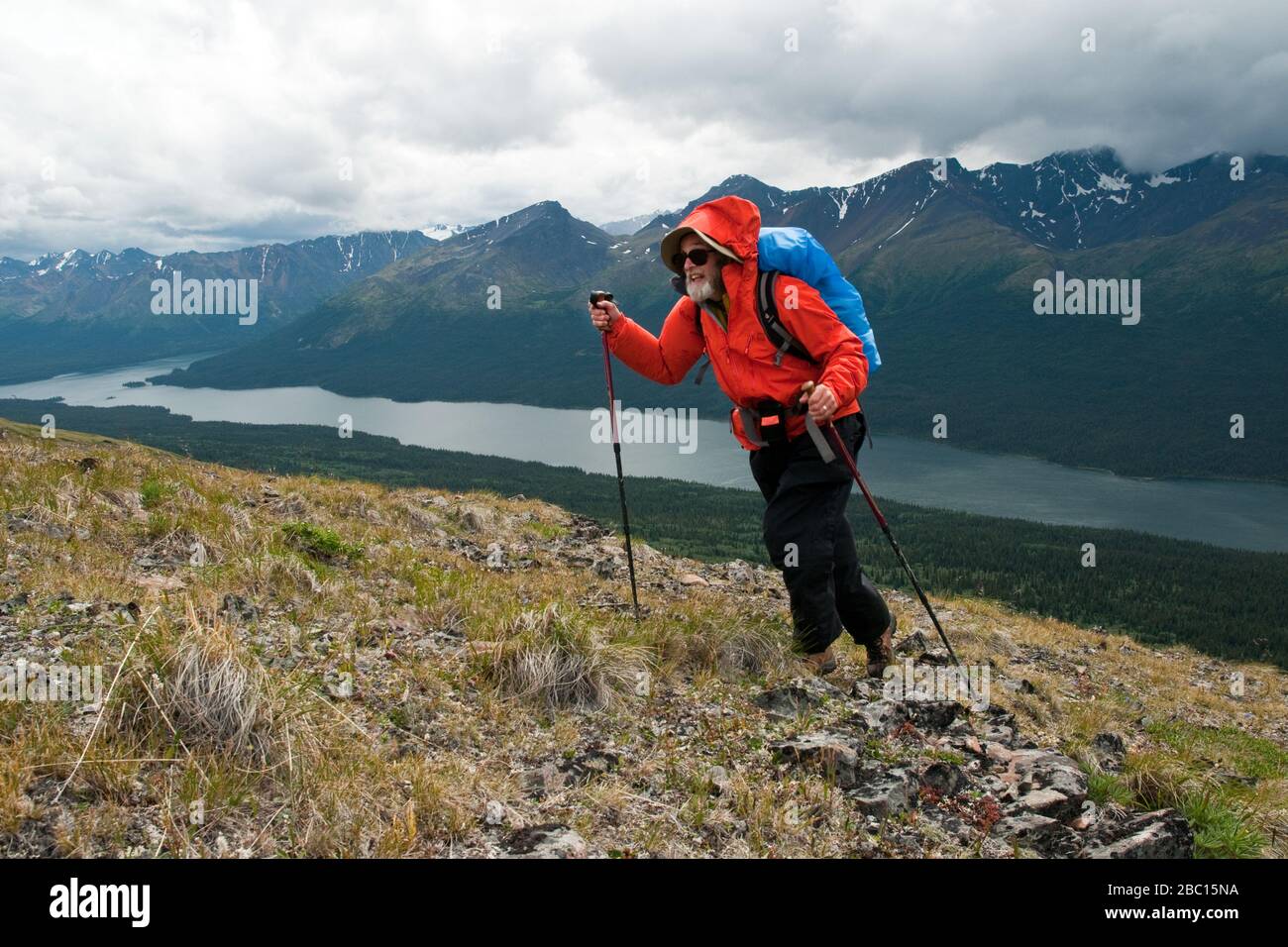 Un escursionista che si arrampica su una montagna utilizzando le aste sopra il lago Cold Fish in Plateau di Spatsizi Wilderness Provincial Park in British Columbia, Canada. Foto Stock