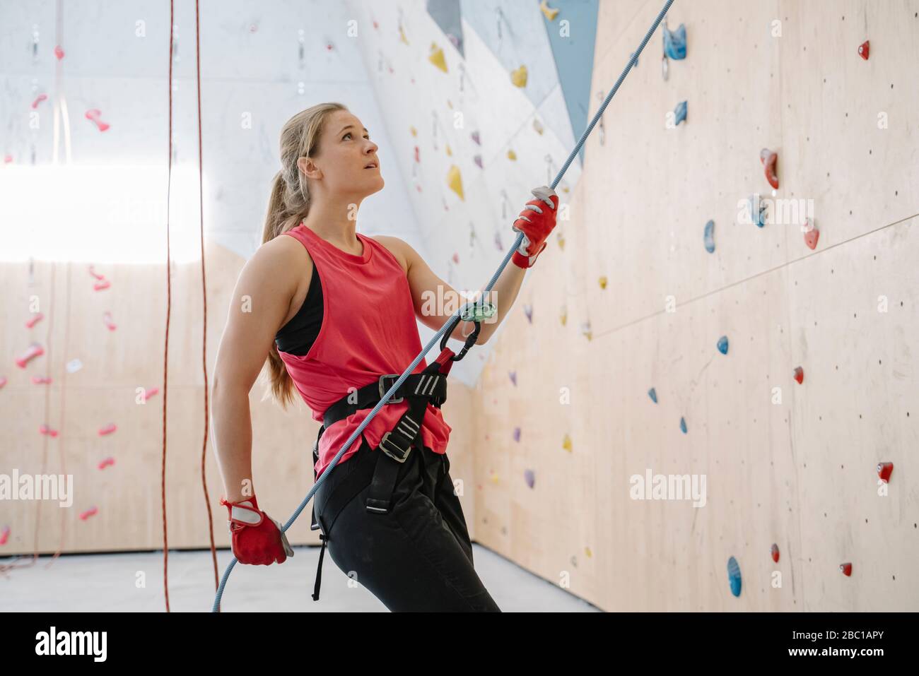 Donna con una corda che fissa partner sulla parete in palestra di arrampicata Foto Stock