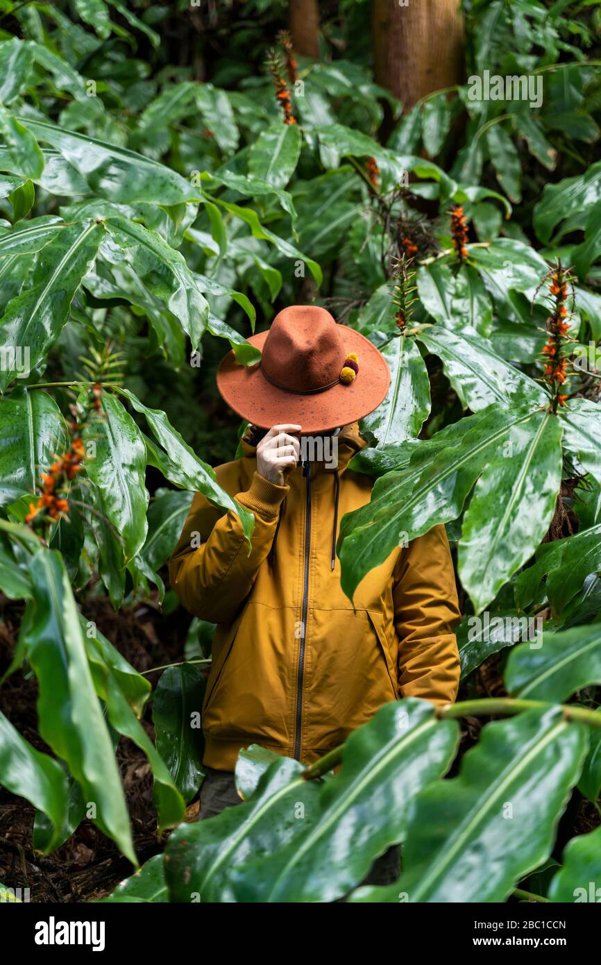 Uomo in piedi nella foresta circondata da foglie enormi, Sao Miguel Island, Azzorre, Portogallo Foto Stock