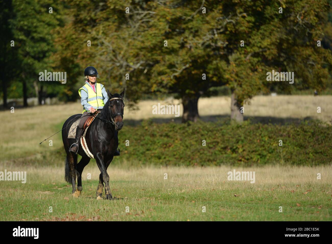 Lady equitazione a Richmond Park, Londra, Regno Unito Foto Stock