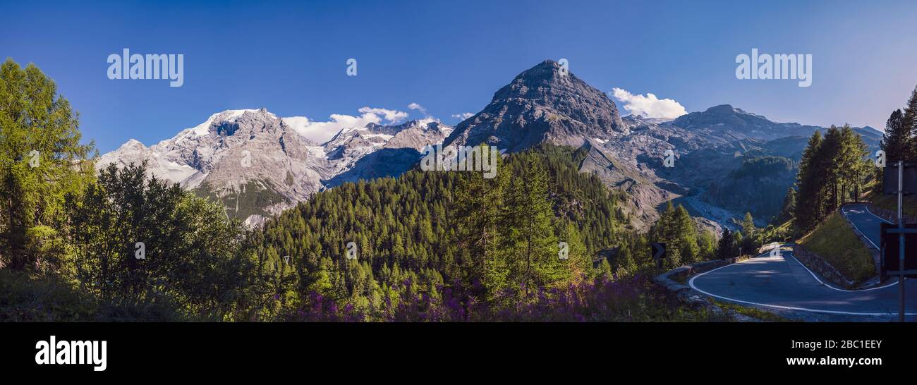 Italia, panorama panoramico del Passo dello Stelvio Foto Stock