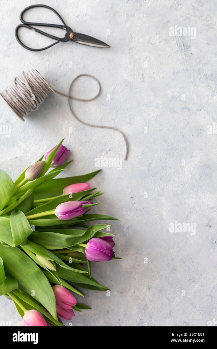 Coppia di forbici, spola di corda e bouquet di tulipani viola fiorenti Foto Stock