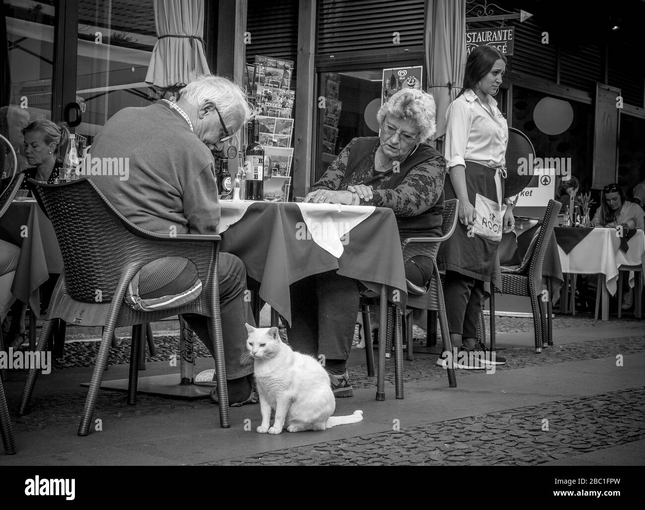 COPPIA SU UNA TERRAZZA CHE GUARDA UN CAT NERO, LARGO DO CORPO SANTO, FUNCHAL, MADIERA, PORTOGALLO Foto Stock