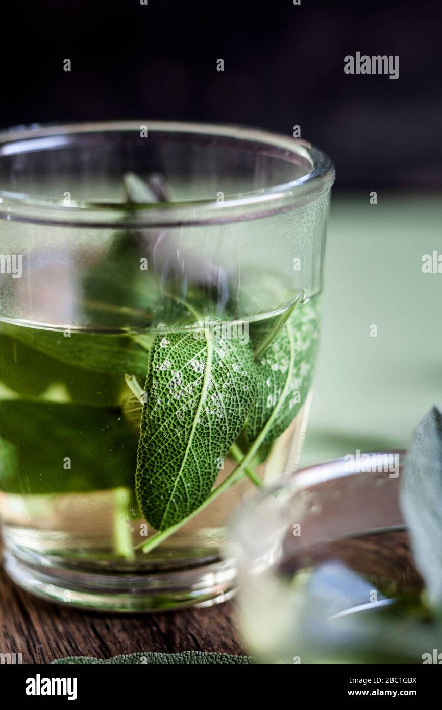 Tazza di tè salvia caldo Foto Stock