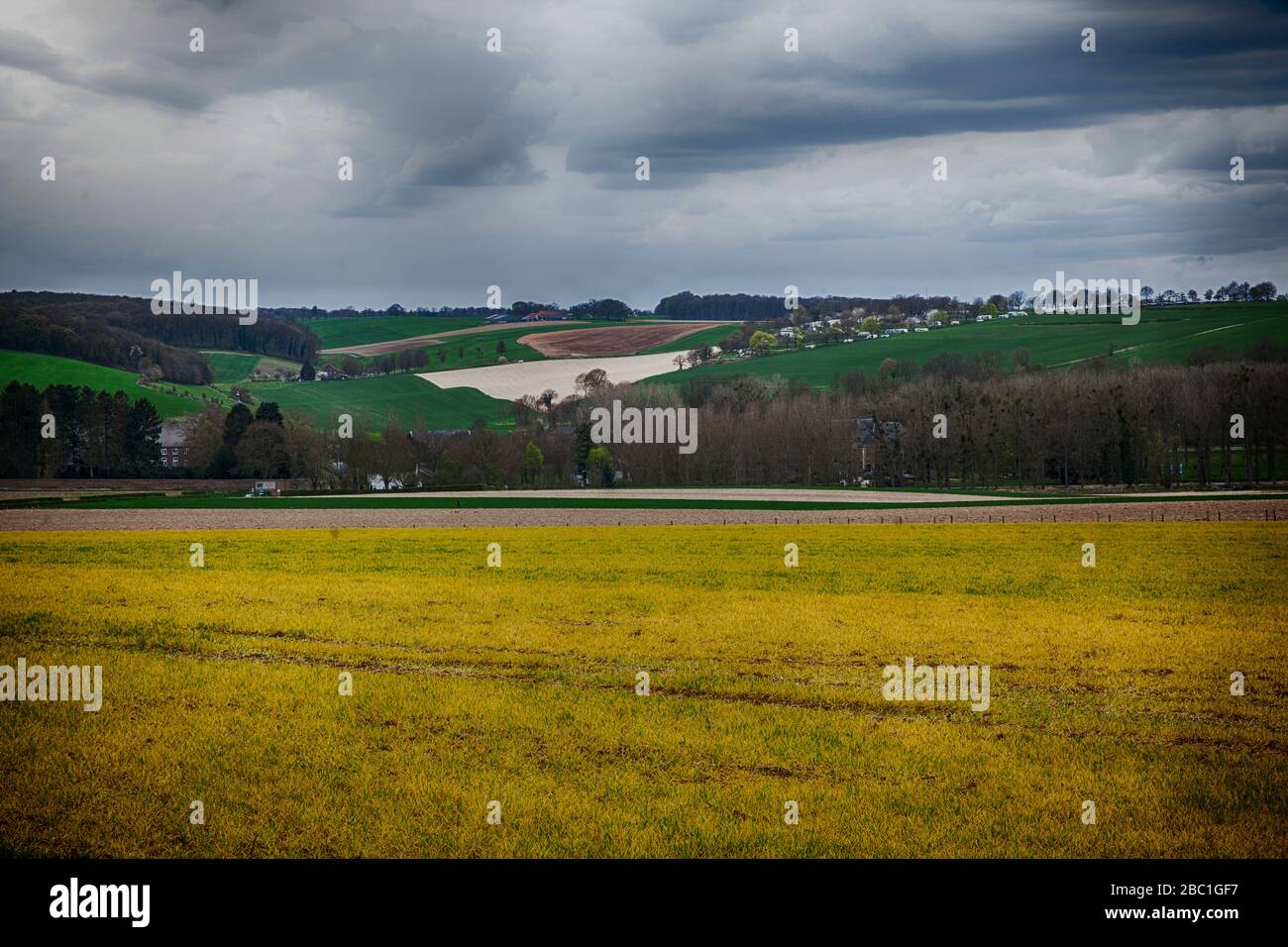 Pittoresca vista autunnale di un orizzonte attraverso la campagna di Limburgo, Paesi Bassi meridionali. Foto Stock