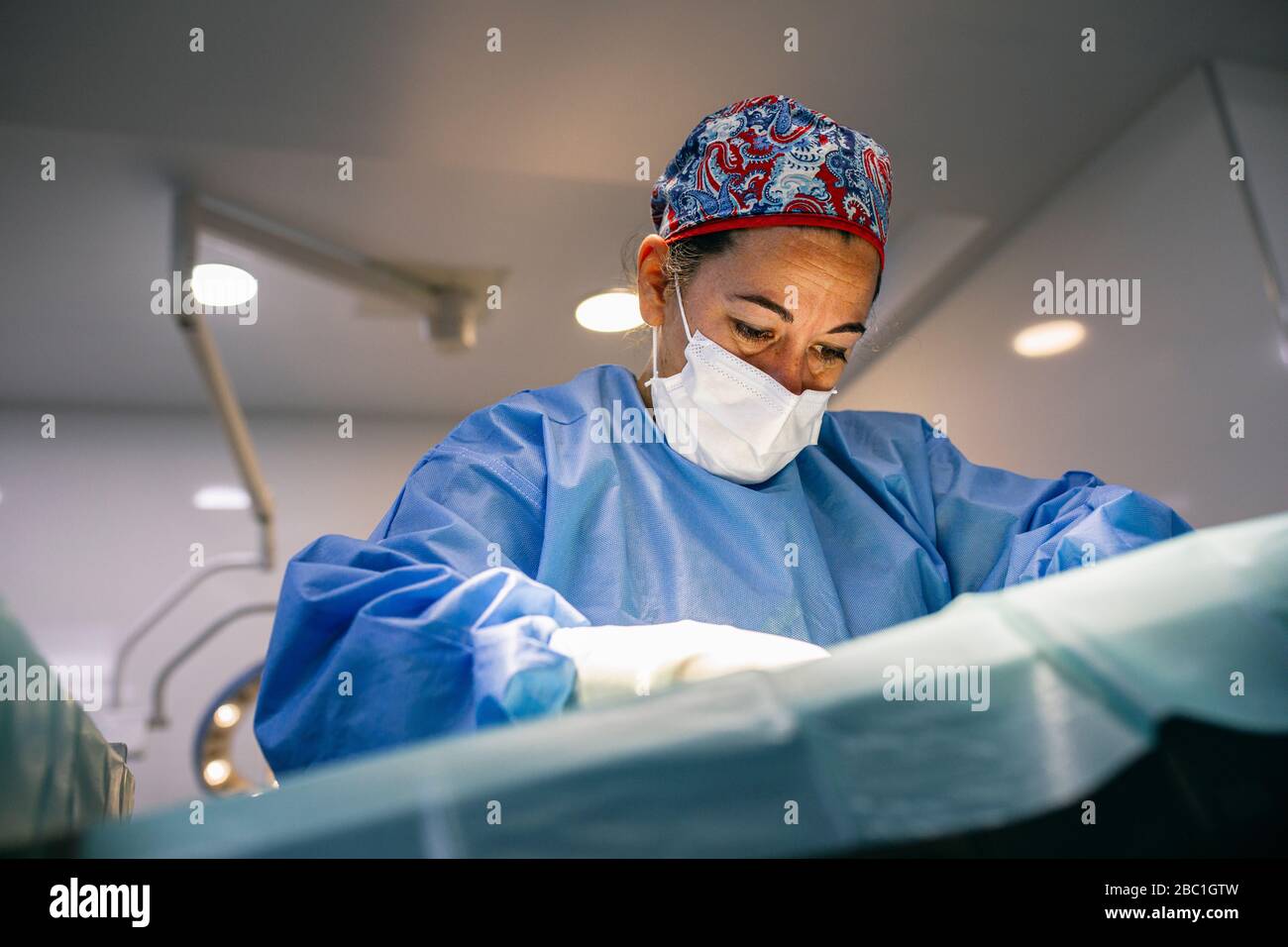 Veterinario in un intervento chirurgico Foto Stock